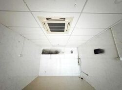 Grandlink Square (D14), Shop House #485059401